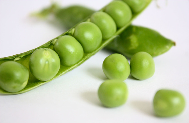 百草录 中医养生 食疗养生 植物形态 豌豆茎粗壮,密生灰色长硬毛.