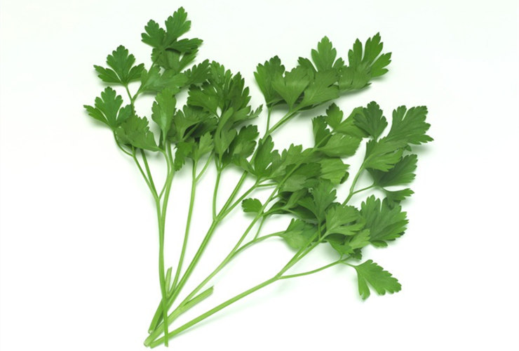 è¡èå¾ç ç¾èå½ 